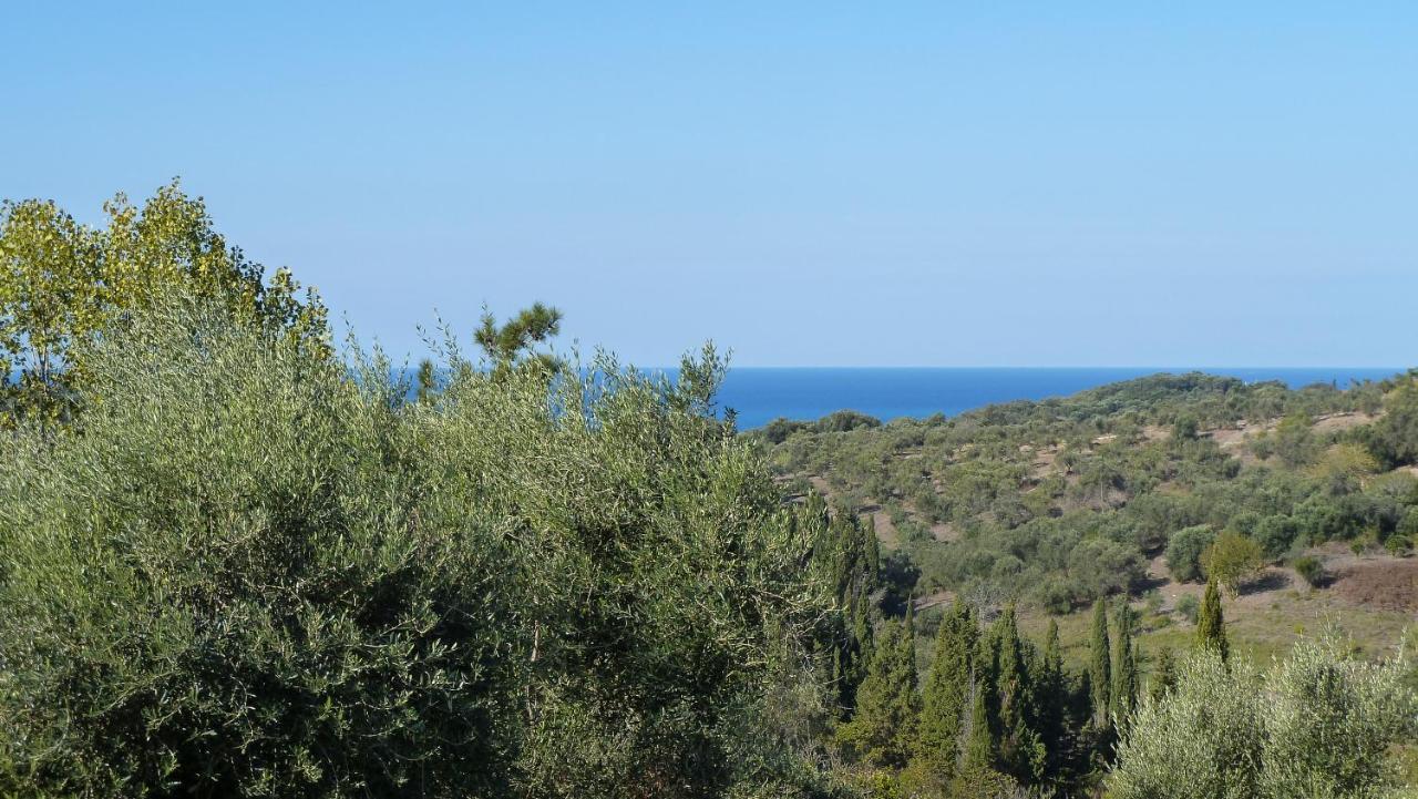 Kavvadades Mastrogiannis Villa Levanda מראה חיצוני תמונה